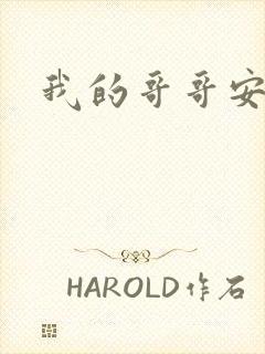 我的哥哥安小天