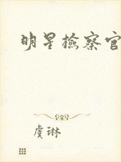 明星检察官小说