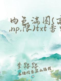 肉色满园(高h,np,限)txt番外篇