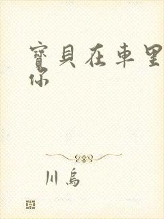 宝贝在车里想要你