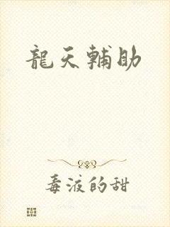 龙天辅助
