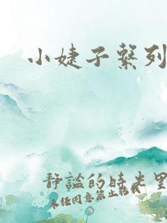 小婕子系列小说