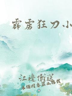 霹雳狂刀小说