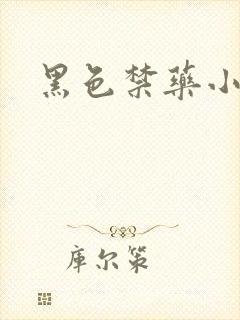 黑色禁药小说