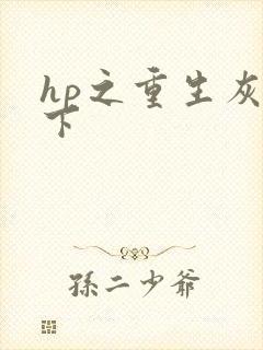 hp之重生灰猊下