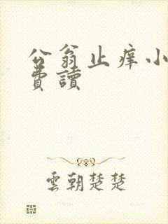公翁止痒小说免费读