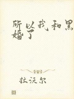 所以我和黑粉结婚了