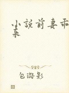 小说前妻乖乖回来