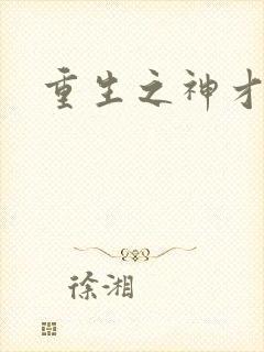 重生之神才风流