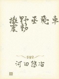 撒野丞飞车道具震动