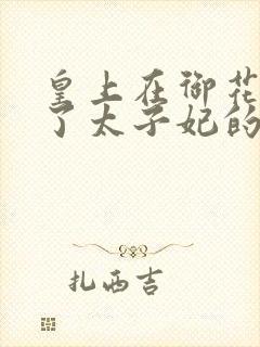 皇上在御花园c了太子妃的网剧