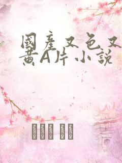 国产又色又爽又黄A片小说