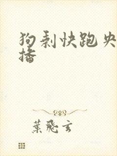 狗剩快跑央八首播