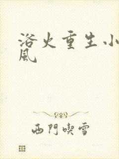 浴火重生小说陈风