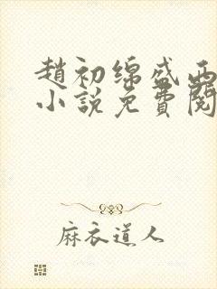 赵初绵盛西舫的小说免费阅读