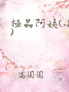 极品阿姨(小说)