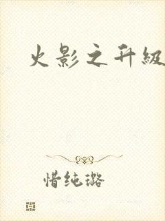 火影之升级狂人