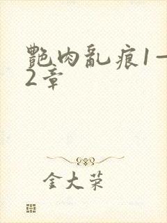 艳肉乱痕1—12章