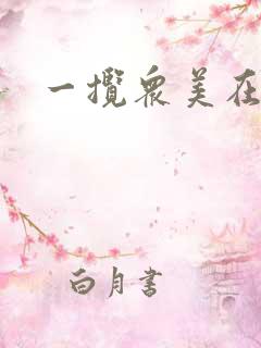 一揽众美在三国