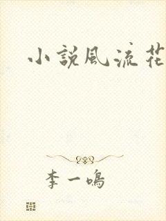 小说风流花少