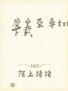 魔皇至尊txt下载
