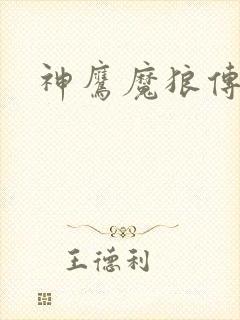 神鹰魔狼传