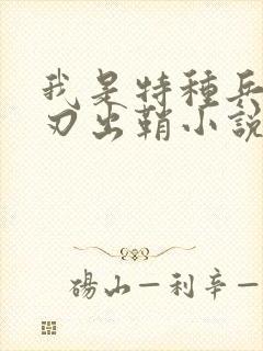 我是特种兵之利刃出鞘小说