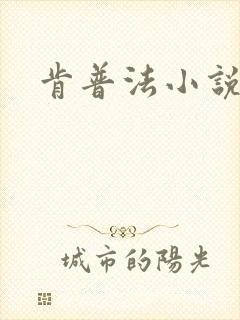 肯普法小说下载