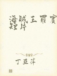 海贼王罗宾被h短片