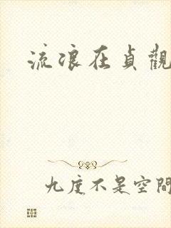 流浪在贞观年间