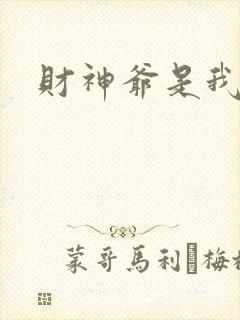 财神爷是我老板