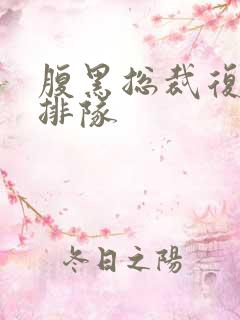 腹黑总裁复婚请排队