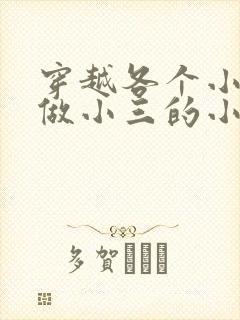 穿越各个小世界做小三的小说