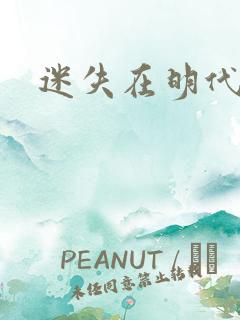 迷失在明代末年