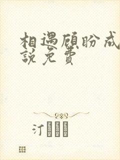 相遇顾盼成欢小说免费