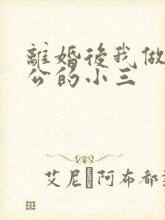 离婚后我做了老公的小三