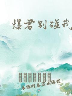爆君别碰我