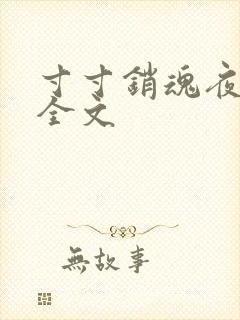 寸寸销魂夜春光全文