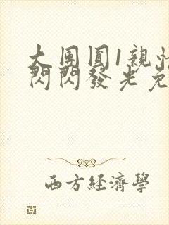 大团圆1亲情会闪闪发光免费