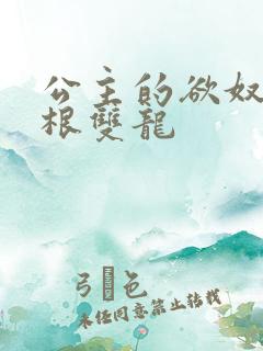 公主的欲奴h四根双龙