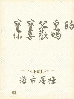 宝宝父皇的东西你喜欢吗