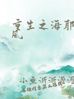 重生之海耶斯旋风