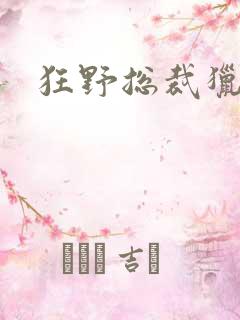 狂野总裁猎逃妻