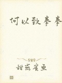 何以致拳拳番外