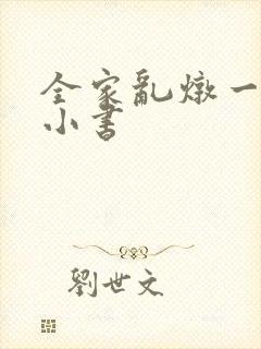 全家乱炖一锅烩小书