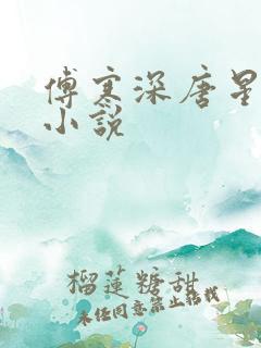 傅寒深唐星挽的小说