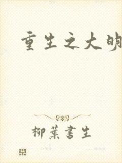 重生之大明王朝