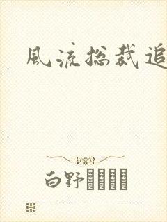 风流总裁追妻记