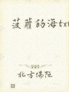 菠萝的海txt
