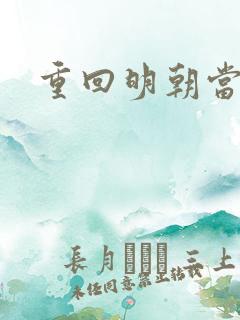 重回明朝当皇帝